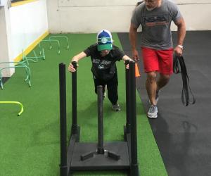 Weight sled with strength and conditioning trainer